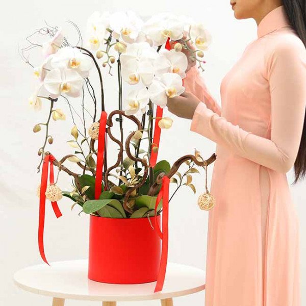 Woman in peach dress arranging white orchids in a red box decorated with red ribbons.