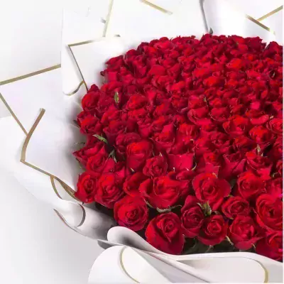 A large bouquet of 200 vibrant red roses wrapped in white and gold paper.