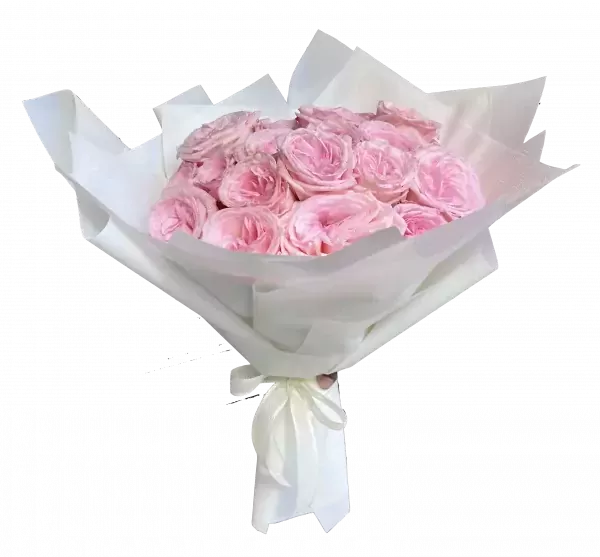 Pink roses in white paper bouquet with a white ribbon.