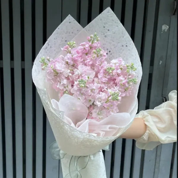 Gentle You 3
