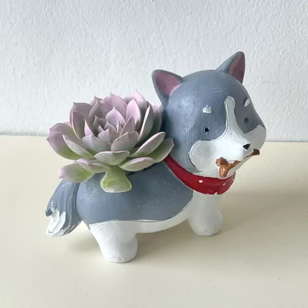 Cute dog planter with a succulent growing out of its back, holding a bone.