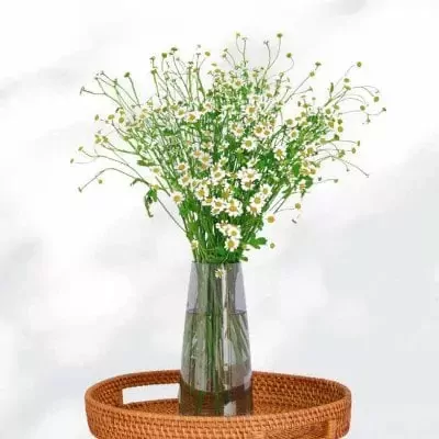 Bouquet of white daisies in a clear vase on a wicker tray.