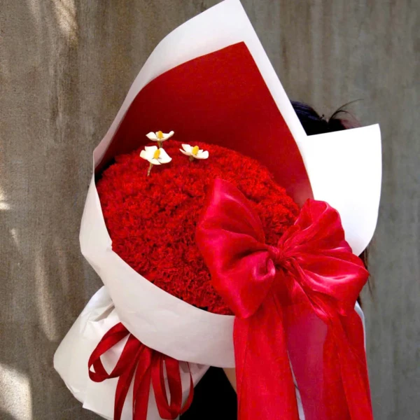 Red carnation bouquet with white flowers and a red bow.