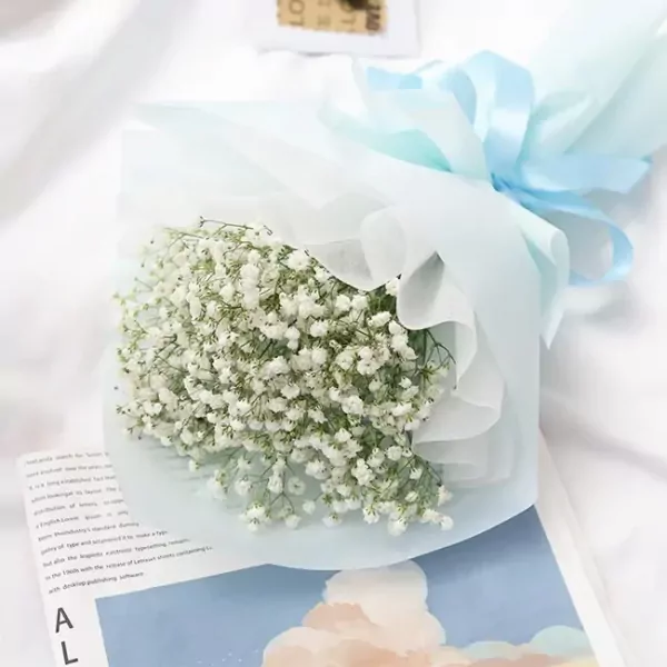 Bouquet of baby's breath flowers wrapped in light blue and white paper, tied with a blue ribbon.