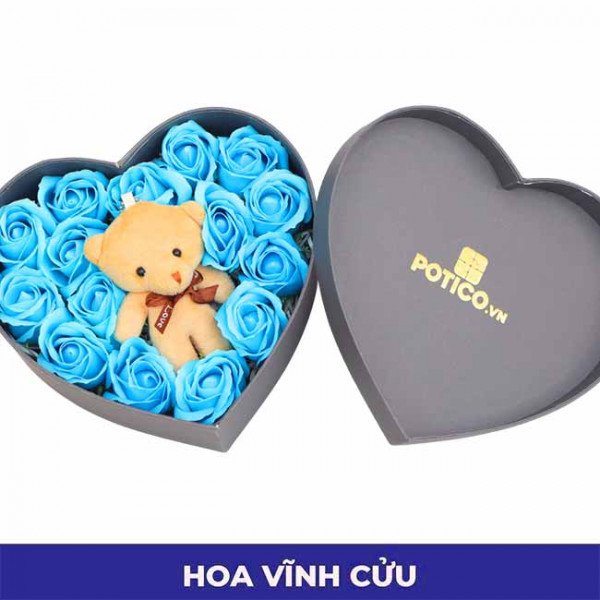 cơ bản