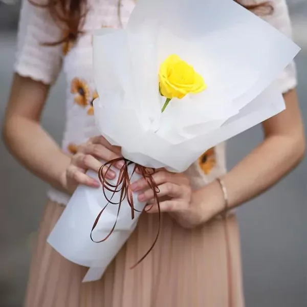 Cơ Bản