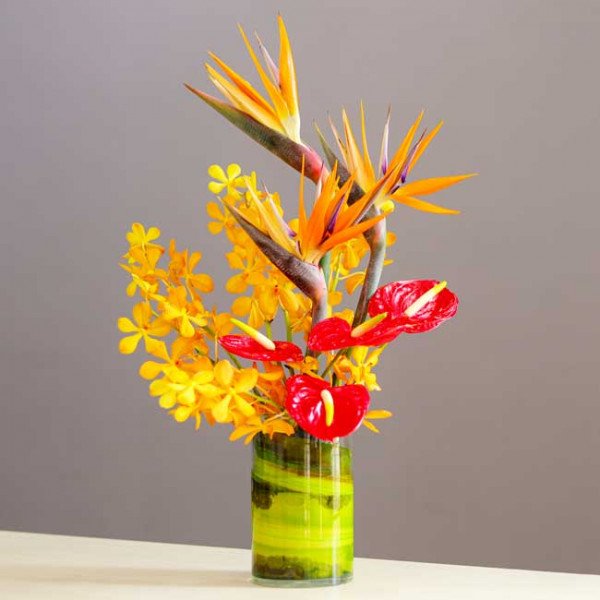 Vase with yellow orchids, red anthuriums, and bird of paradise flowers.