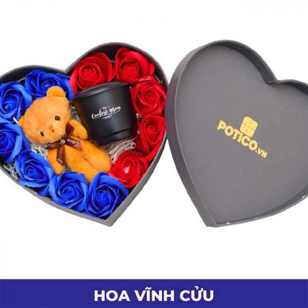 cơ bản
