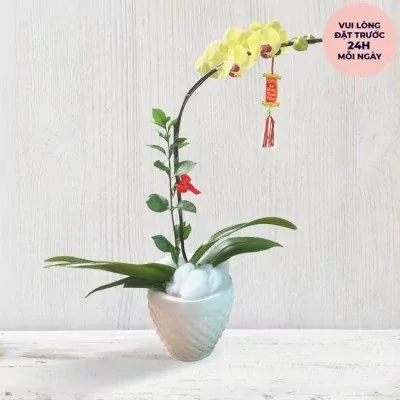 Yellow orchid in white textured pot, decorated with a small red ornament and a small red flower.
