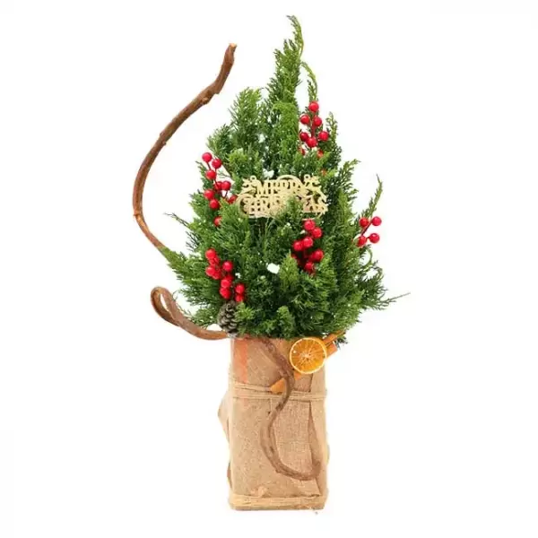Christmas pine tree with red berries, "Merry Christmas" banner, and dried orange slice in a burlap pot.