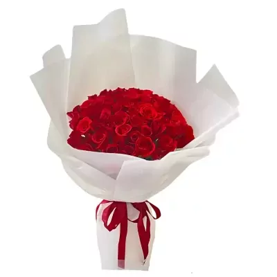 A large bouquet of 66 red roses wrapped in white paper and tied with a red ribbon.