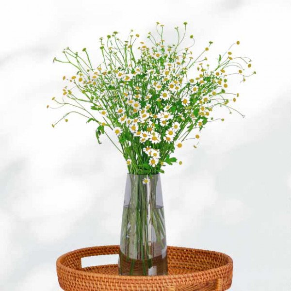 A vase of white daisies and greenery sits on a woven tray.