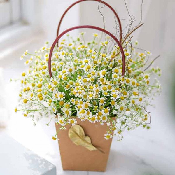 Papillion bouquet of white daisies and baby's breath in a brown paper basket with a leaf embellishment.