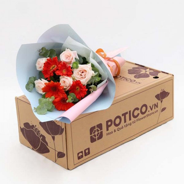 Bouquet of pink roses and red gerbera daisies in light blue and pink wrapping, placed on a Potico.vn flower delivery box.