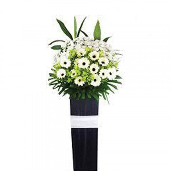 White gerbera daisies and green flowers in a tall black vase with a white band.