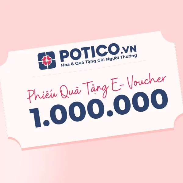 Gift voucher for 1,000,000 VND from POTICO.VN