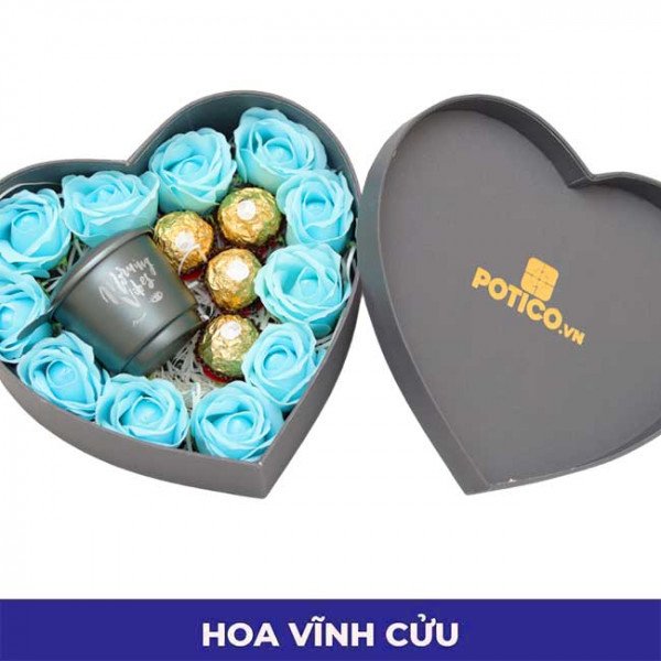 cơ bản