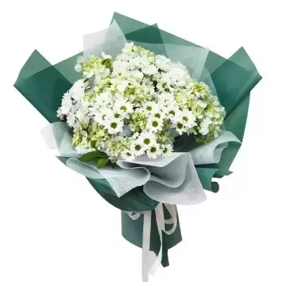 Bouquet of white hydrangeas, daisies, and other flowers in green and white wrapping paper with white ribbons.