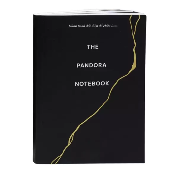Black notebook with "The Pandora Notebook" and gold crack design.