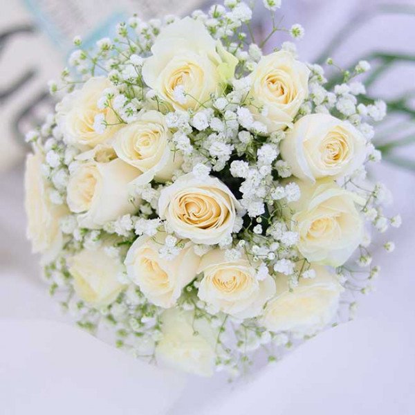 Creamy white roses and baby's breath in a bridal bouquet.