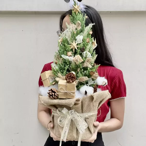 Woman holding a small Christmas pine tree decorated with pinecones, gifts, and ribbons.