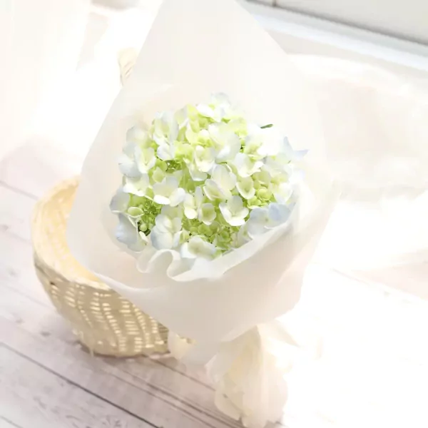A bouquet of white and green hydrangeas wrapped in white paper, next to a woven basket.