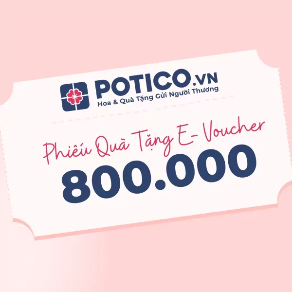 Gift voucher for 800,000 VND from Potico.vn with flower logo.