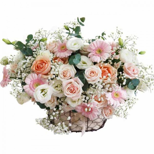 Basket of peach and pink roses, white lisianthus, and pink gerbera daisies with baby's breath.