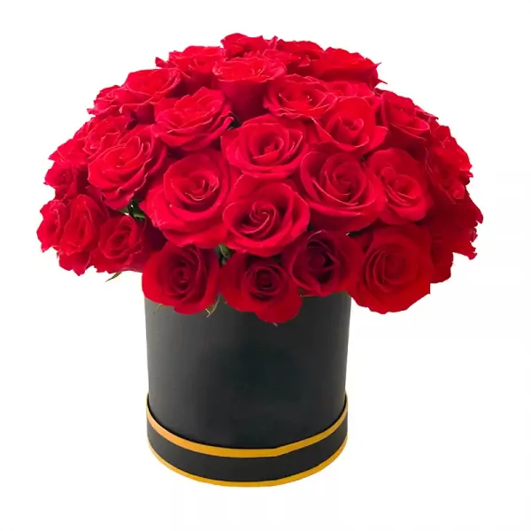 Round box of red roses with yellow trim.