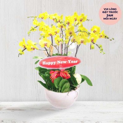 Yellow orchids with "Happy New Year" sign in a pink pot.