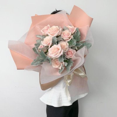 A bouquet of pink roses with dusty miller and pale pink wrapping, tied with a cream ribbon.