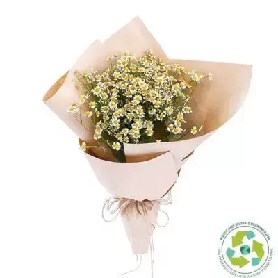 Bouquet of white and yellow daisies wrapped in light brown paper, tied with twine.