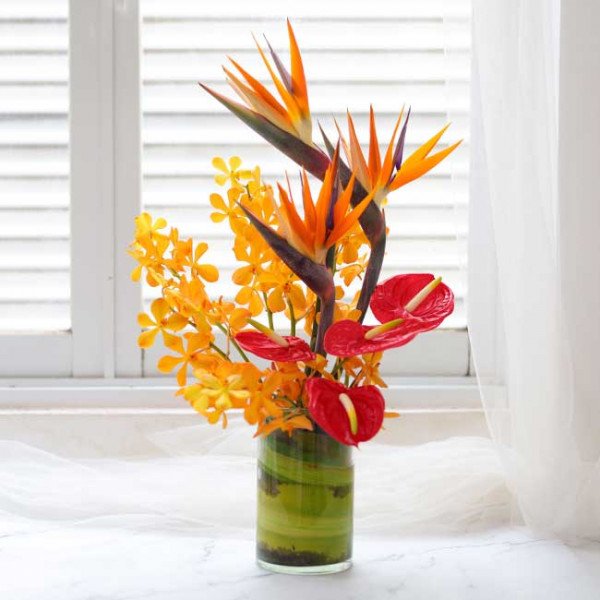 Tropical flower arrangement with orange birds of paradise, yellow orchids, and red anthuriums in a green vase.